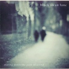 Staring Down The Path Of Sound mp3 Album by Black Swan Lane