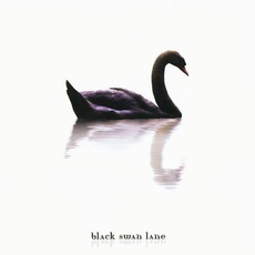 A Long Way From Home mp3 Album by Black Swan Lane