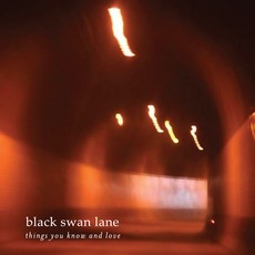 Things You Know And Love mp3 Album by Black Swan Lane