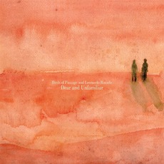 Dear And Unfamiliar mp3 Album by Birds Of Passage And Leonardo Rosado