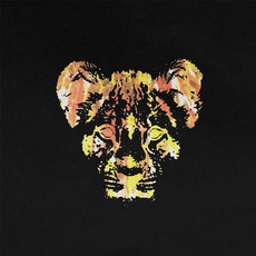 Burn mp3 Album by Young Lions