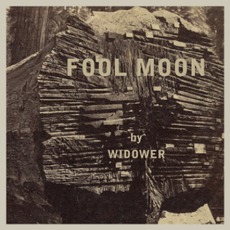 Fool Moon mp3 Album by Widower