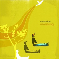 Amusing mp3 Album by Chris Rice