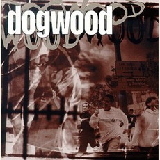 More Than Conquerors mp3 Album by Dogwood