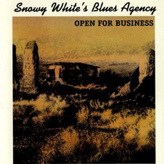 Open For Business mp3 Album by Snowy White's Blues Agency