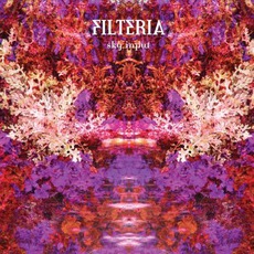 Sky Input mp3 Album by Filteria