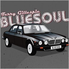 Bluesoul mp3 Album by Terry Gillespie
