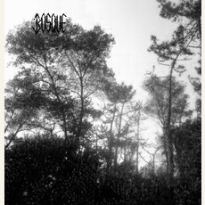 Dead Nature mp3 Album by Bosque