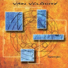 Synergies mp3 Album by Vain Velocity