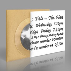The Plan mp3 Album by Clem Leek