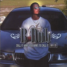 Call It What You Want To Call It mp3 Remix by B-Dub