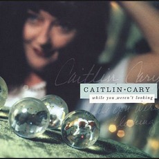 While You Weren't Looking mp3 Album by Caitlin Cary