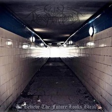 To Believe The Future Looks Bleak mp3 Album by Shroud Of Despondency
