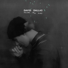 Falling Into Place mp3 Album by David Dallas