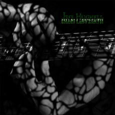 Chaos Labyrinth mp3 Album by Jeff Hughell