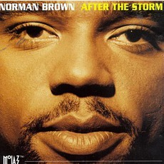 After The Storm mp3 Album by Norman Brown
