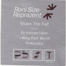 Share The Fall mp3 Single by Roni Size & Reprazent