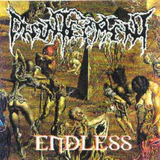 Endless mp3 Album by Disinterment