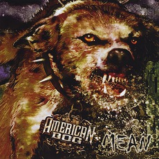 Mean mp3 Album by American Dog