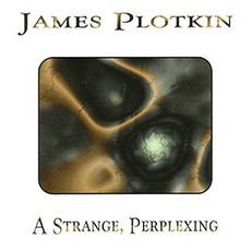 A Strange, Perplexing mp3 Album by James Plotkin