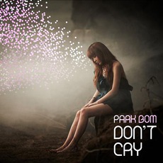 Don't Cry mp3 Single by Park Bom (박봄)