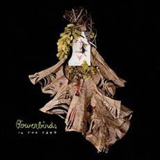 In The Yard mp3 Single by Bowerbirds