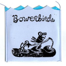 Danger At Sea mp3 Album by Bowerbirds