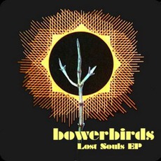 Lost Souls mp3 Album by Bowerbirds