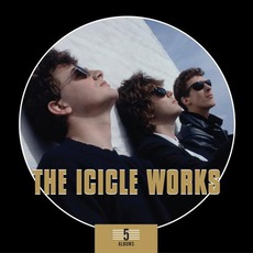 5 Albums Box Set mp3 Artist Compilation by The Icicle Works
