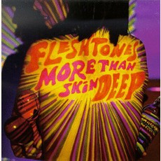 More Than Skin Deep mp3 Album by The Fleshtones