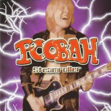 Steamroller mp3 Album by Poobah