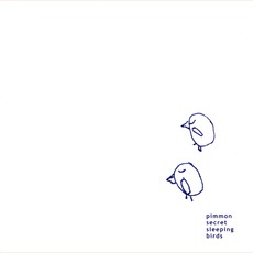 Secret Sleeping Birds mp3 Album by Pimmon