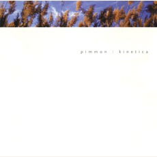 Kinetica mp3 Album by Pimmon