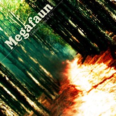 Gather, Form & Fly mp3 Album by Megafaun