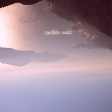 Views mp3 Album by Noble Oak