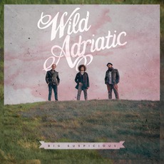 Big Suspicious mp3 Album by Wild Adriatic