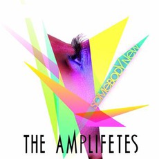 Somebody New mp3 Single by The Amplifetes