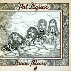 Levee Blues mp3 Album by Potliquor