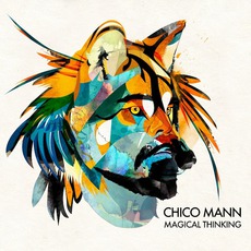 Magical Thinking mp3 Album by Chico Mann