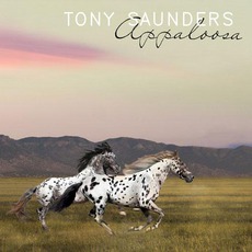 Appaloosa mp3 Album by Tony Saunders