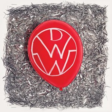 Party For Your Life (Deluxe Edition) mp3 Album by Down With Webster