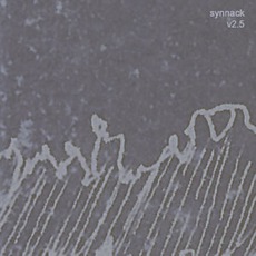 V2.5 mp3 Album by Synnack