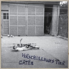 Verschollenes Tier mp3 Album by Cäthe