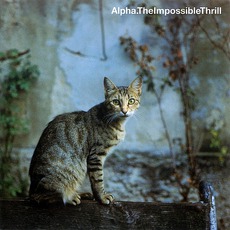 The Impossible Thrill mp3 Album by Alpha