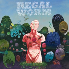 Use And Ornament mp3 Album by Regal Worm