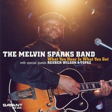 What You Hear Is What You Get mp3 Album by Melvin Sparks