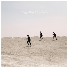 Excess Space mp3 Album by Ginger Ninja