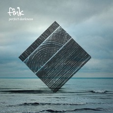 Perfect Darkness mp3 Album by Fink