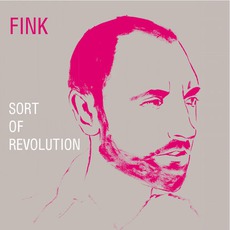 Sort Of Revolution mp3 Album by Fink