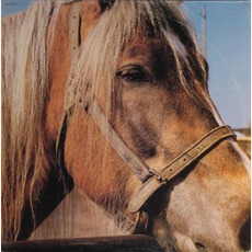 The Horse mp3 Album by Terveet Kädet
